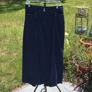 🦋NWOT EST. 1946 Denim So Fun To Wear Size 10 Denim Skirt Wardrobe Must Have 🦋